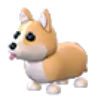 Corgi