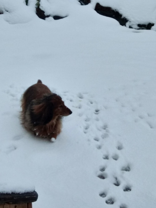 [Image: IMG-20220402-184336.jpg]