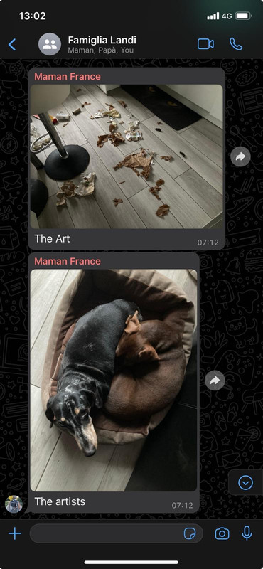 [Image: e0e35d6b-d3bf-4b07-9294-172f9828bb7a.jpg]