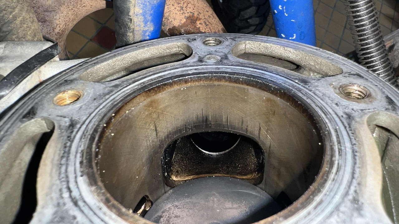 f8bb8a9d-b82f-4c71-a4f3-bcb7f73a62cf (1)