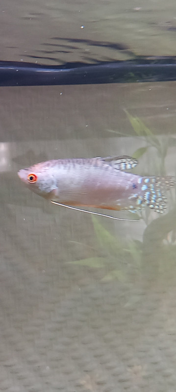 20250421_180706_resized