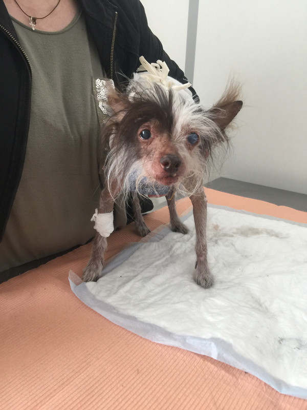 10ADABE2-0B42-4E2A-8E78-241FC9959EF6