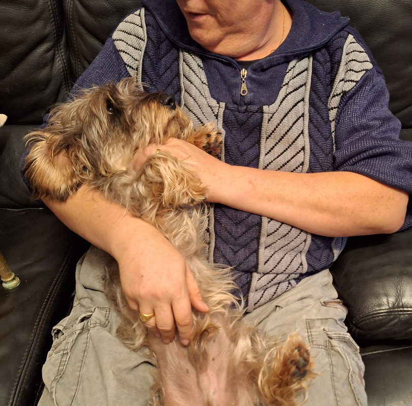 [Image: 20231210-163251.jpg]