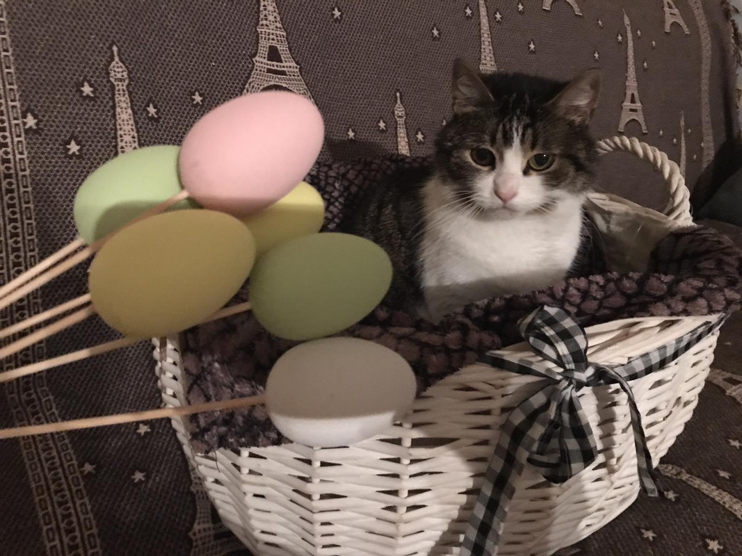 84486716-B40D-487F-8A6A-507227CFD662