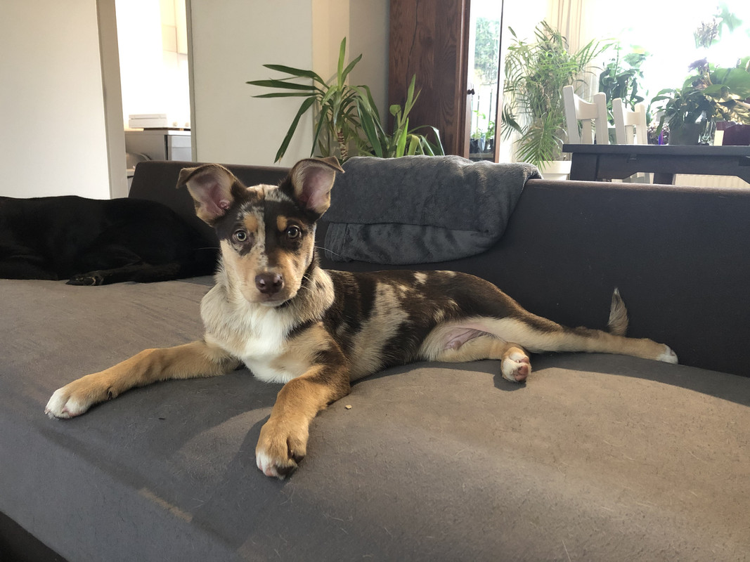 EF8D369A-7C44-4FC7-951B-1553F225210B