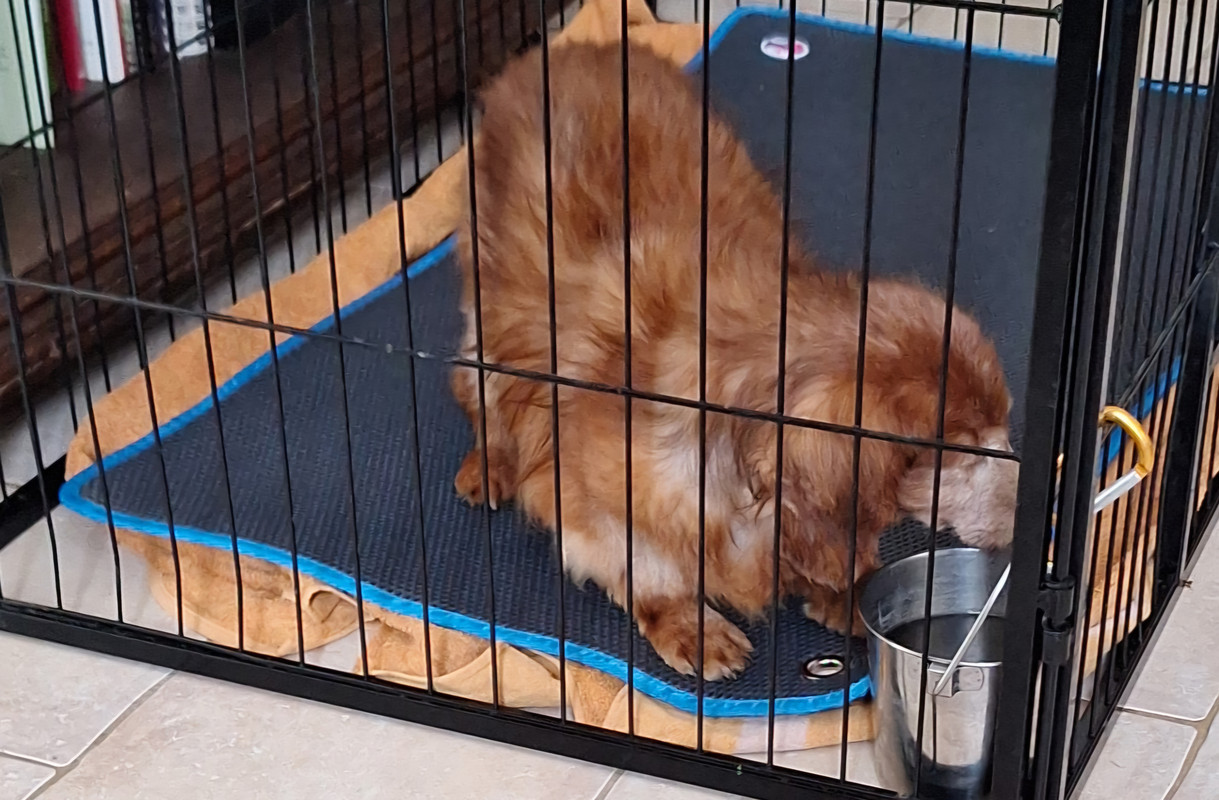 [Image: IMG-20250410-WA0005.jpg]