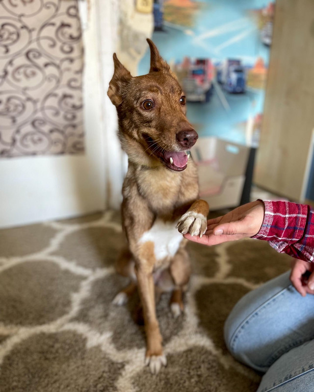 CD801827-6474-4583-8FB9-FEB259EF85AA