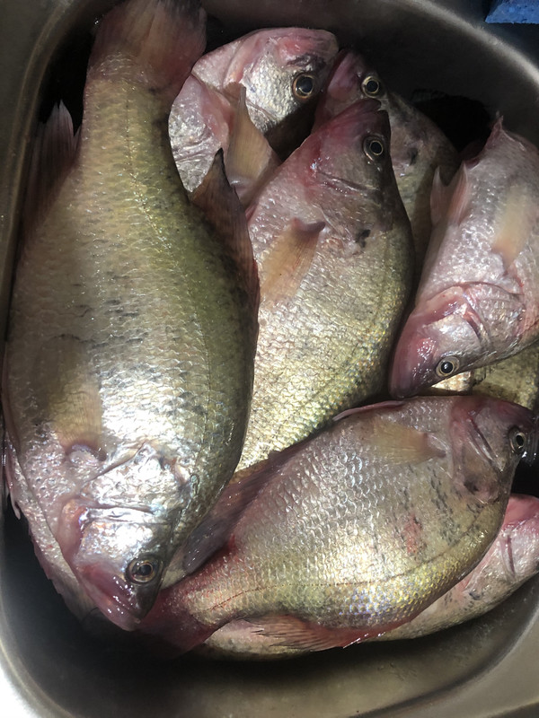 8FCD3C4E-BE55-46D8-8EAF-C7DCF54D9EA9