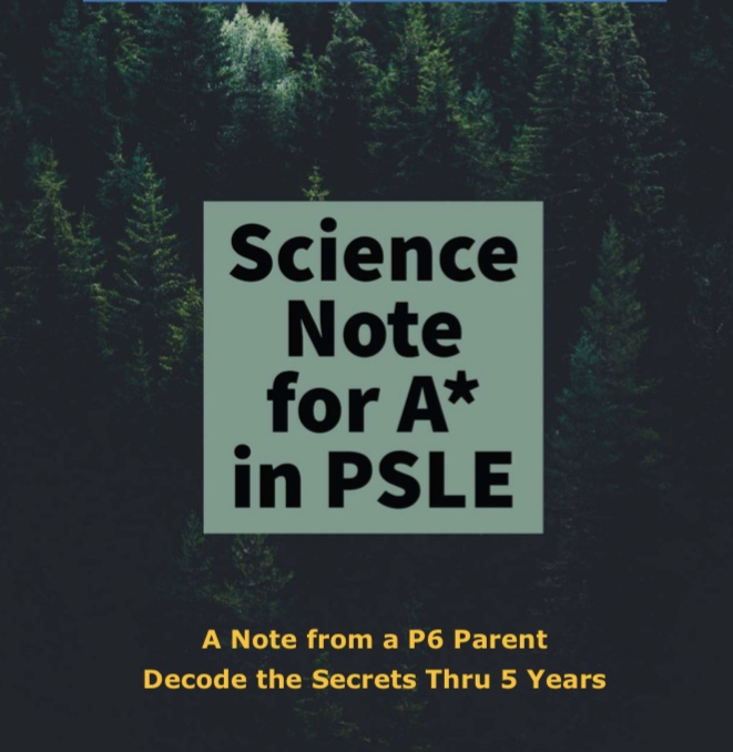 25B6302F-A631-4870-9B53-F0D8A61C4154