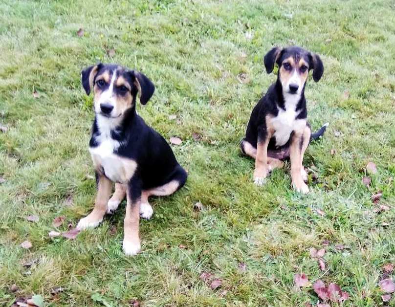 изображение_viber_2019-09-22_13-35-06