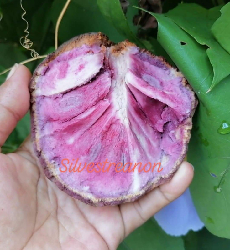 B21BADBE-C8E9-4DA6-A2A8-DF6FF11830EB