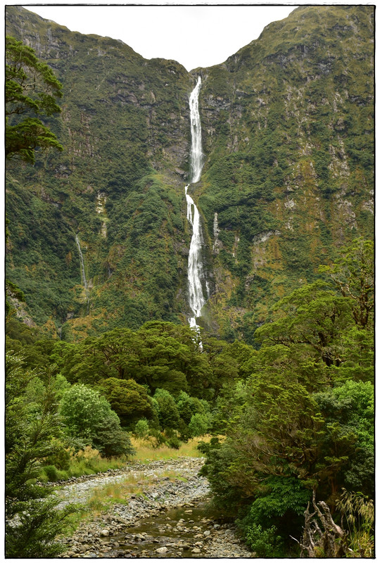 Fiordland NP: Milford Track (enero 2023) - Escapadas y rutas por la Nueva Zelanda menos conocida (52)