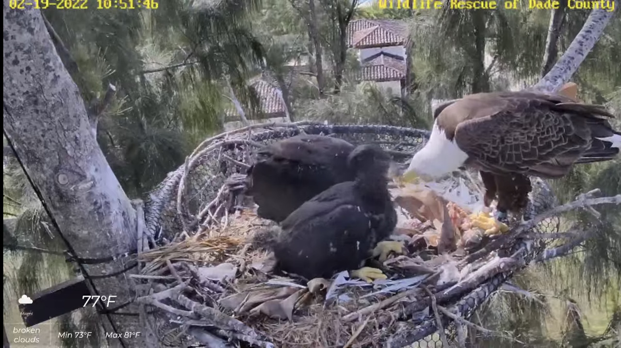 872B31CA-E3CE-420E-B54A-315F63942EC8