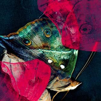 [Slika: Liamere-Re-folder.jpg]