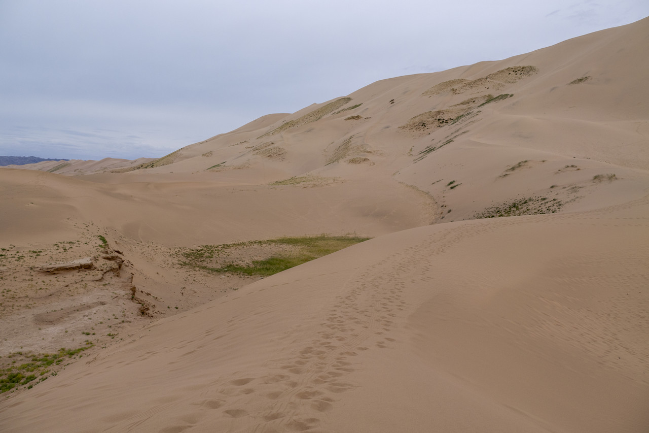 Día 7: Gobi III - De Moscú a Pekín: Mongolia (6)