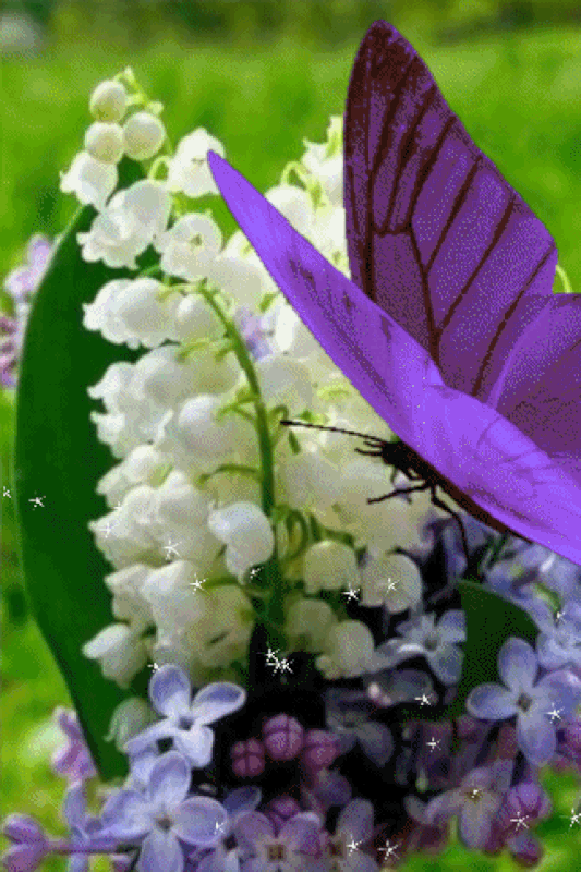 An den Beitrag angehängtes Bild: https://i.postimg.cc/9M88HQT4/oie-18819-Ey-Pr-Pk-JQ.gif