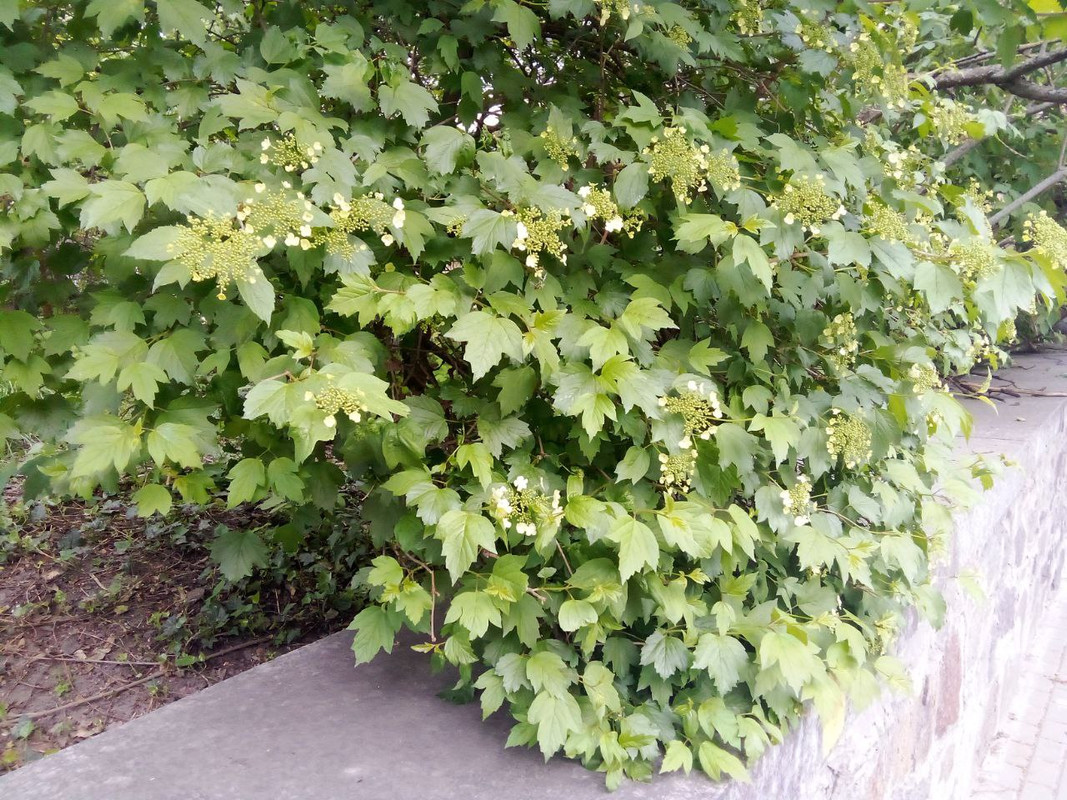 photo_2025-05-01 7.35.34 пп