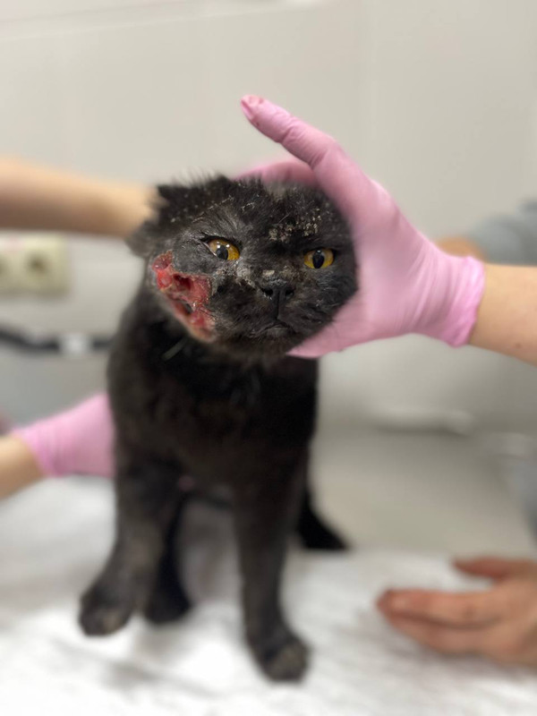 photo_2022-11-07_23-36-01