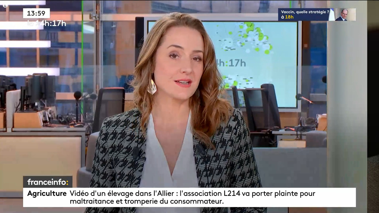 12.03 - 12.59.00 - Le 14h-17h. Au sommaire   Vrai ou fake. - francein....ts_snapshot_00.06.18.610