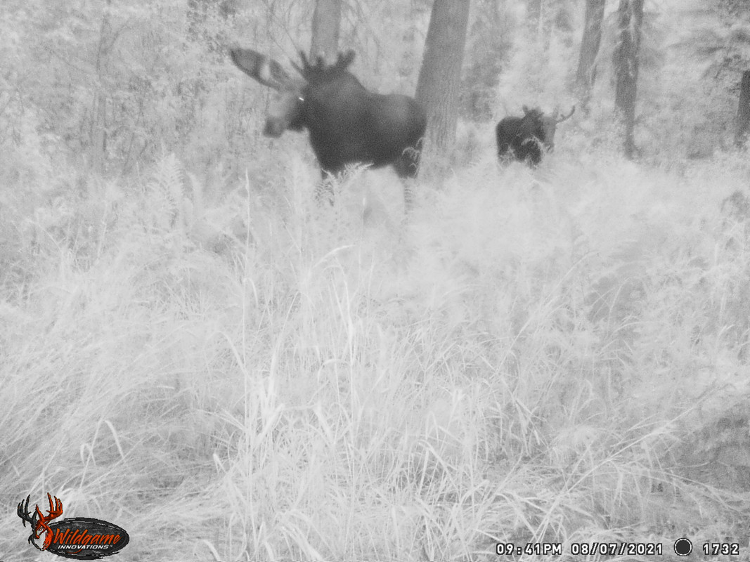 D60C096C-DC47-4F92-9D36-85844F33E7E9