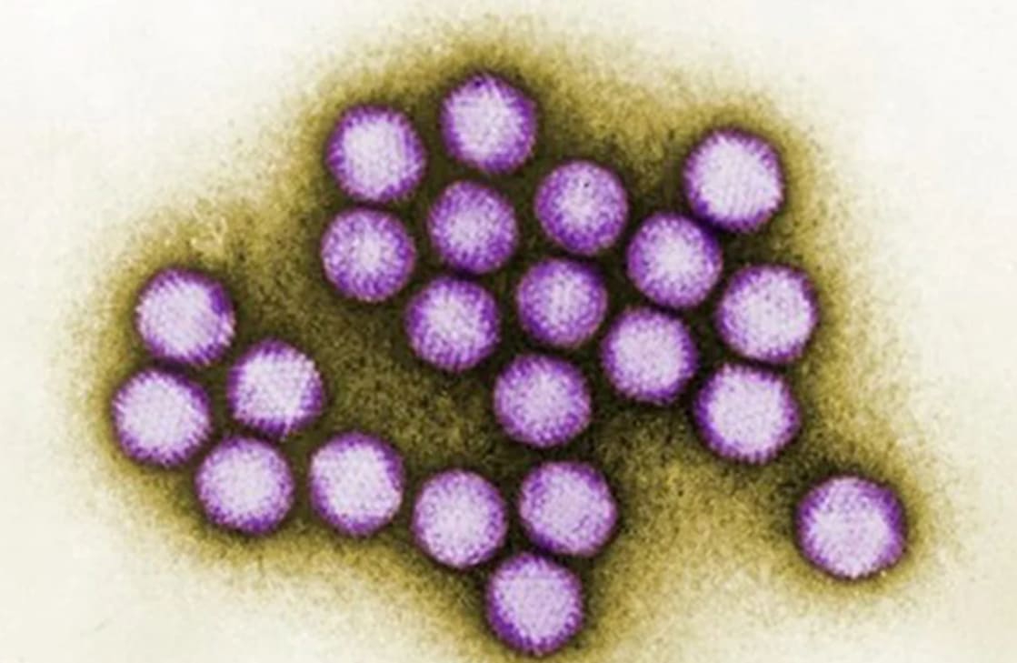CDC de EU mandan alerta por casos de hepatitis misteriosa en niños