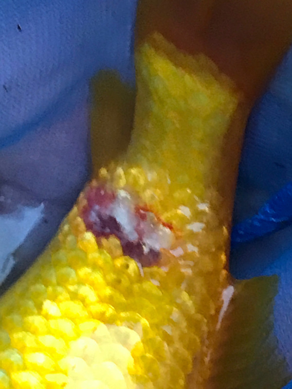 43D9292A-787D-43B2-B51E-0C21083B294B