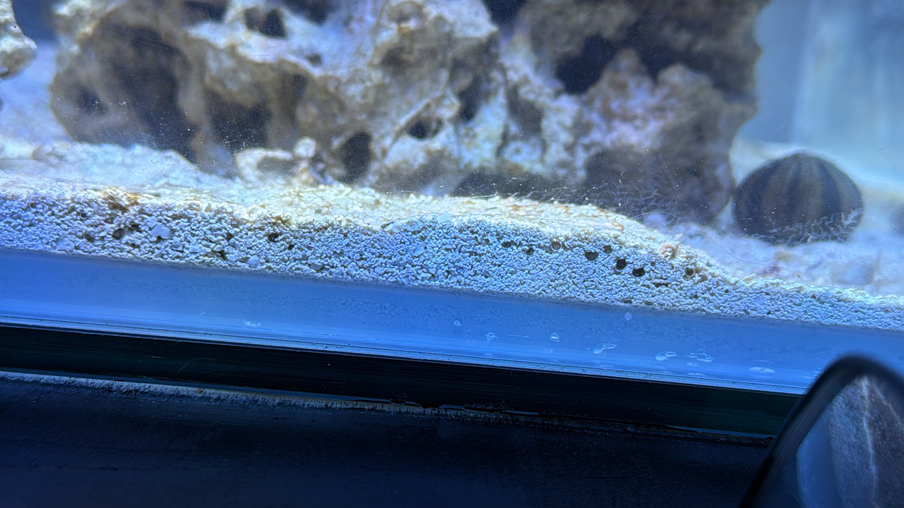 8A94D26E-A483-4BEC-BFFB-494B069EE97D