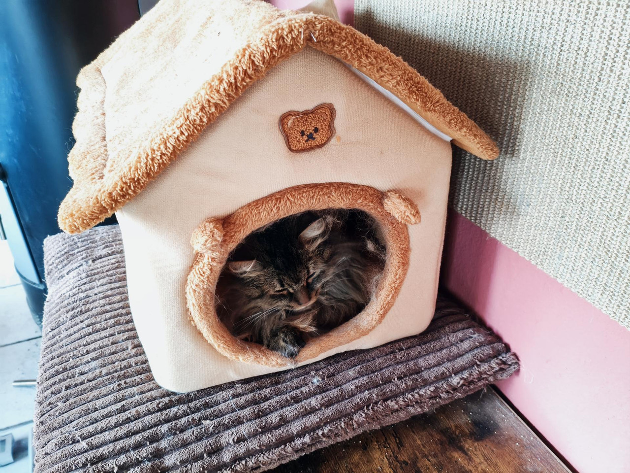 MVIMG 20260324 120957