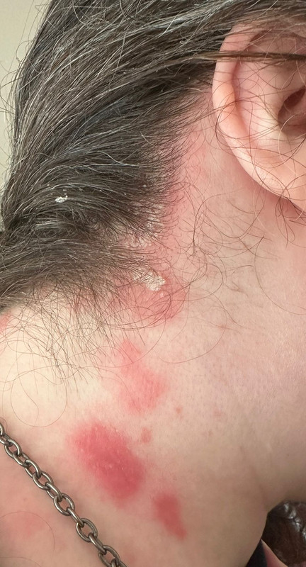 IMG 20250825 WA0000 2