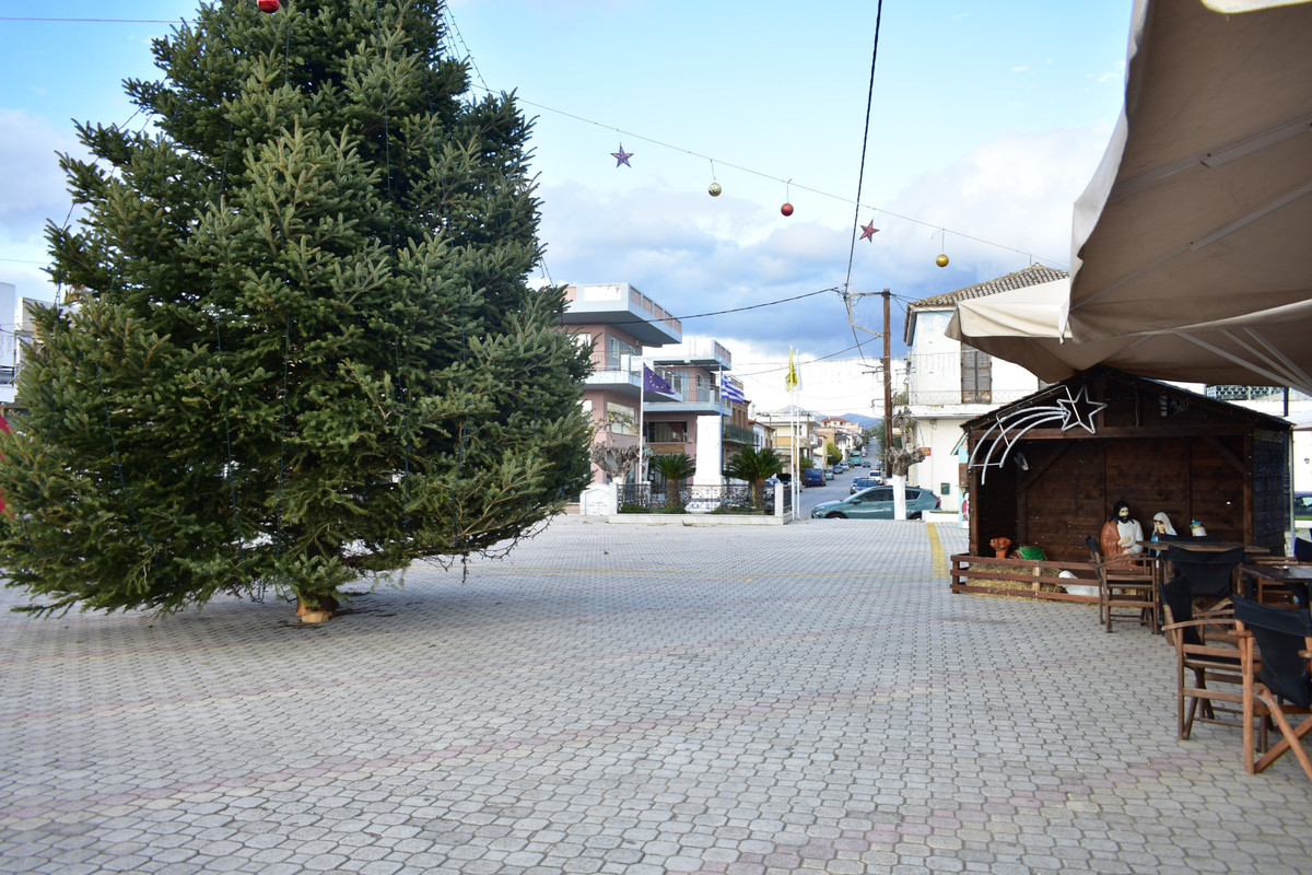 Αμάρυνθος (4)