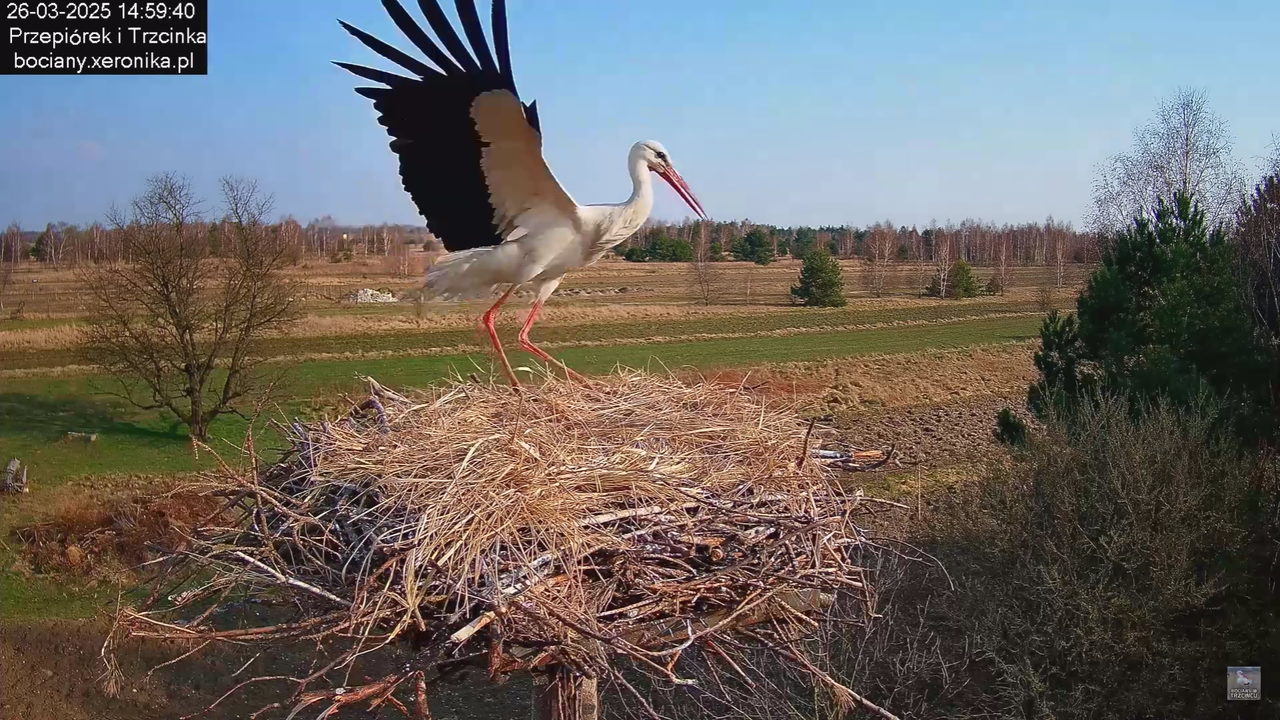 26032025Wpada bocius_10