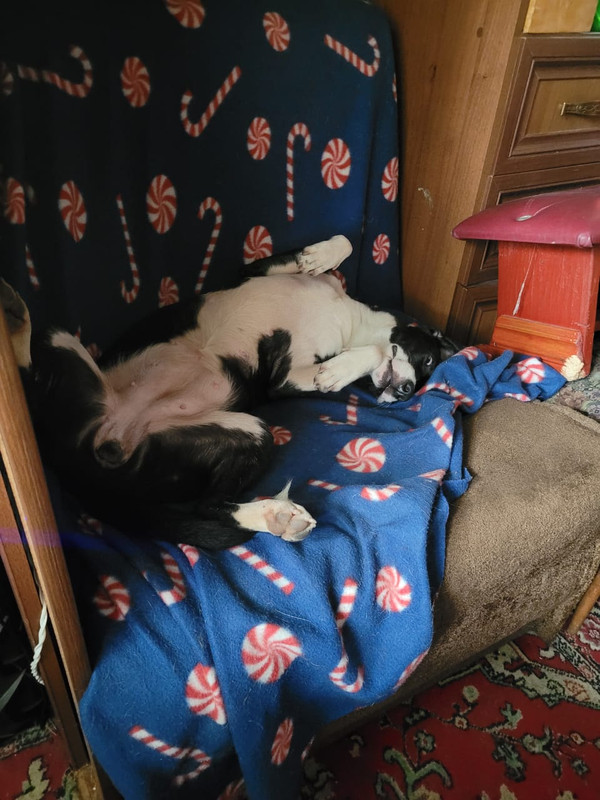 C0D181AF-6E32-4FDA-8982-34491A0C9A43