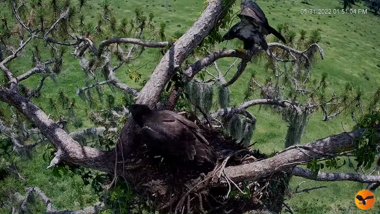 EC 4K Overhead Cam 12-45-37 screenshot