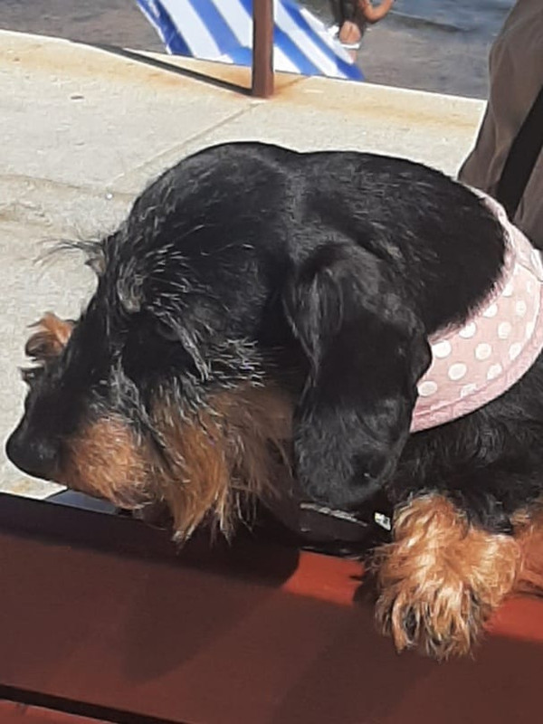 [Image: IMG-20250724-WA0005.jpg]