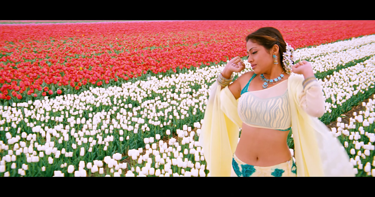 VideoCapture_20241122-195518