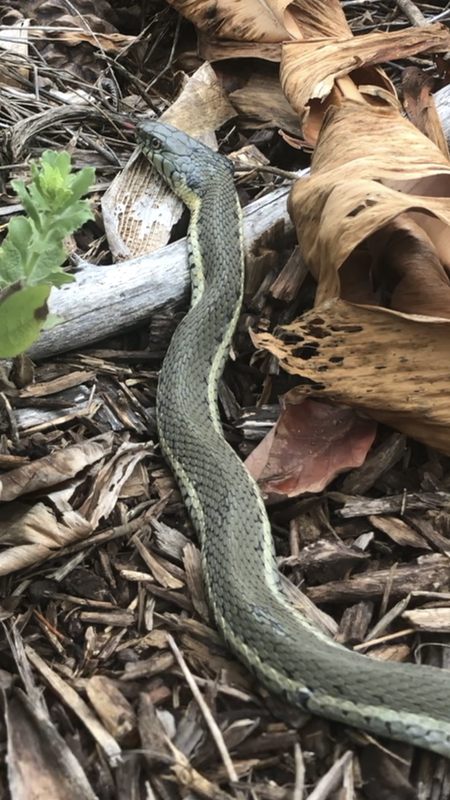 FB30B422-3F7E-4B2B-85F2-D0F3F69979EA