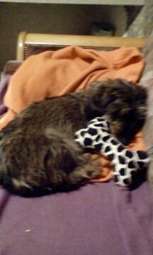 [Image: IMG-20200704-23483311.jpg]