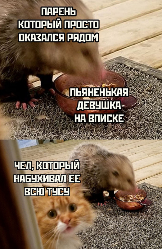 eMUgq23ROji0zyd5mFYwFhAKRDJdogxg28ZxbbqYlfhAkGd-a2Lk2u5nUNpV4SSaBNaEUIFrHiq0ab_OUuNd8Q-8