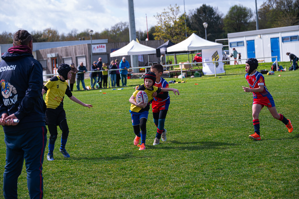 tournoi-de-latlantique-2026-adonis-griffon-56-55181458163-l