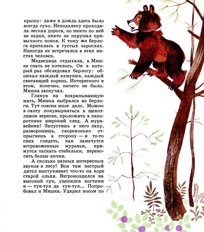 1975-page-0010