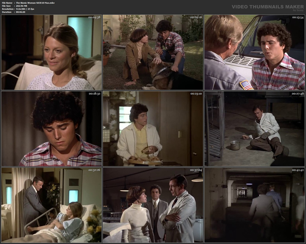 The Bionic Woman S03E10 Max.mkv