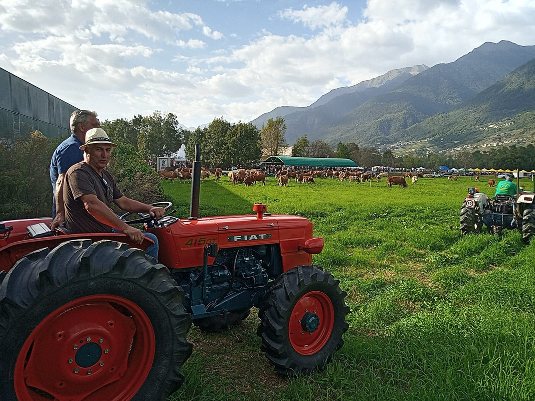 Scargaamuut 2023 (23)