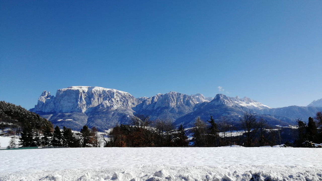 IMG-20190204-WA0003