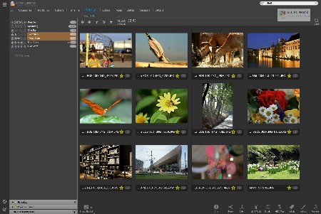 IDimager Photo Supreme 7.4.3.4773 (x64) Multilingual