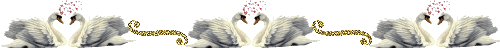 0fd9mu7vttw