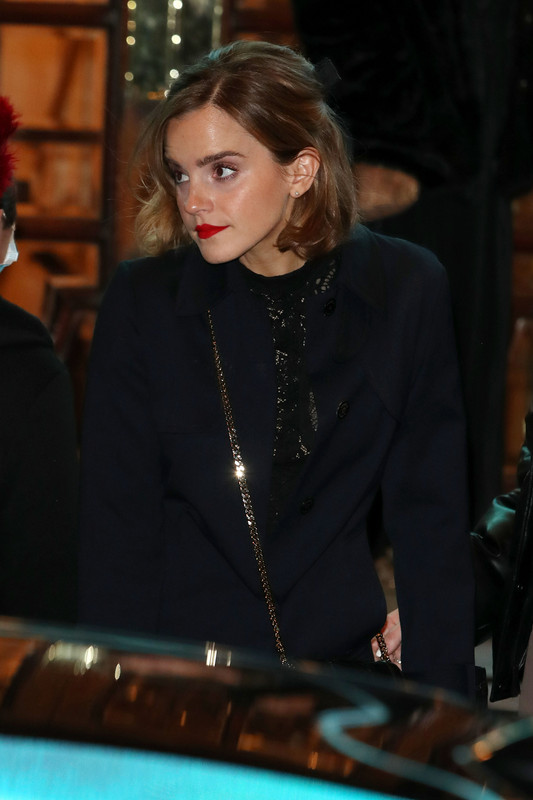 emmawatson-photogallery.blogspot.com (13)
