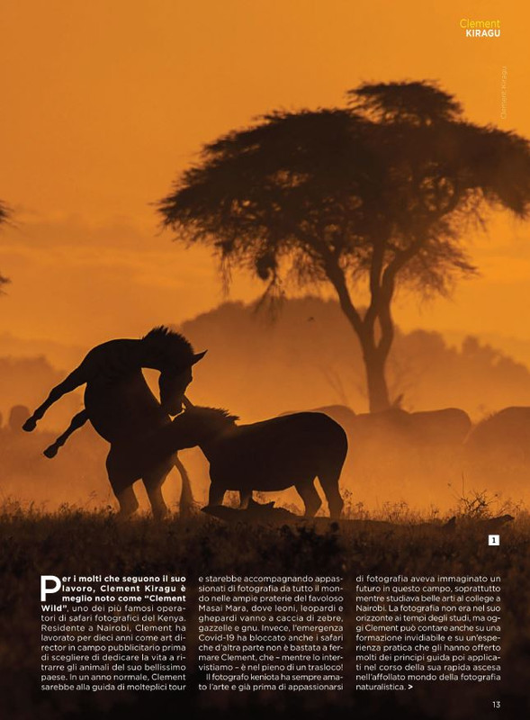 P Pro Set-Ott 2021 (2)