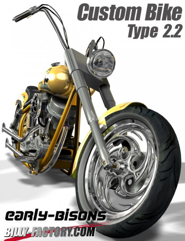 custom bike type 2 2 large