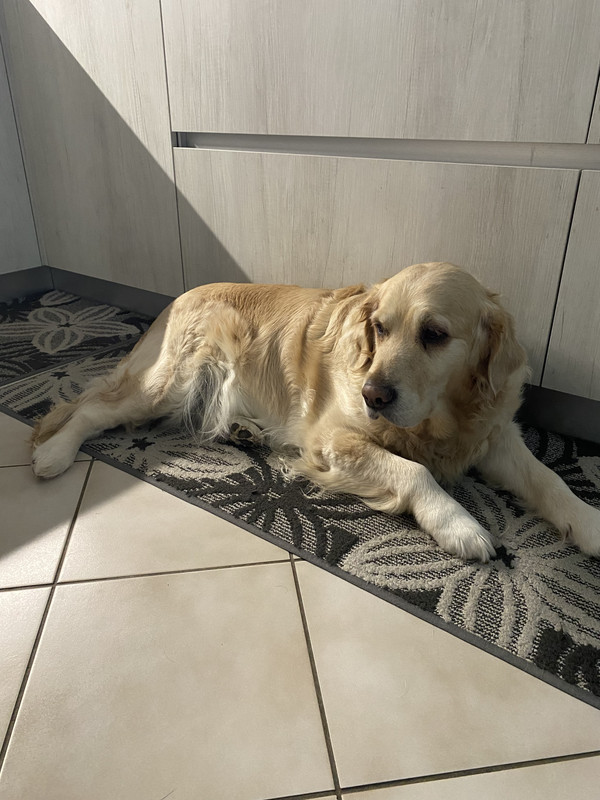 8102626F-832A-47EE-BAA0-4E953E817551