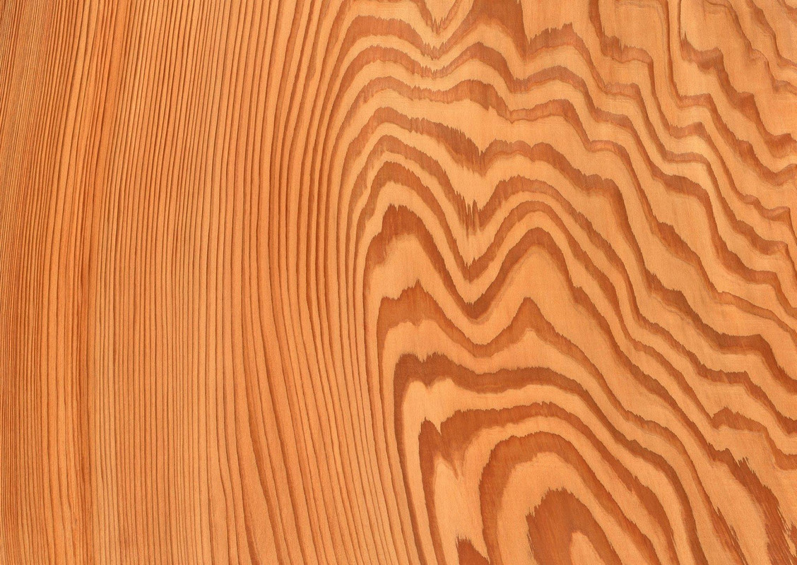 wood-texture-3dsmax-630